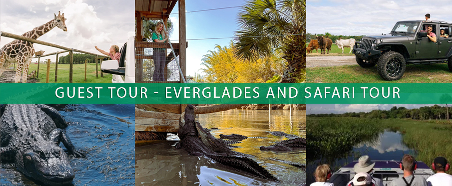 florida everglades national park airboat tours