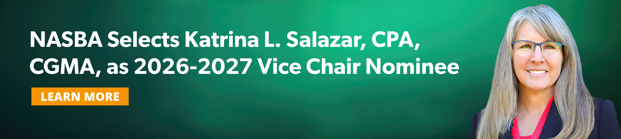2026 Vice Chair Nominee